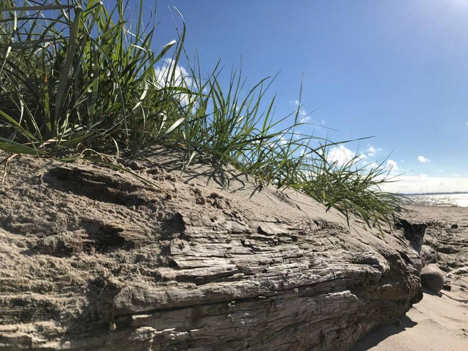 Stilvolles Reetdachhaus Coastline An Der Ostsee Groß Schwansee المظهر الخارجي الصورة