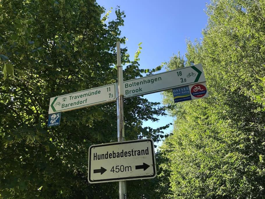 Stilvolles Reetdachhaus Coastline An Der Ostsee Groß Schwansee المظهر الخارجي الصورة